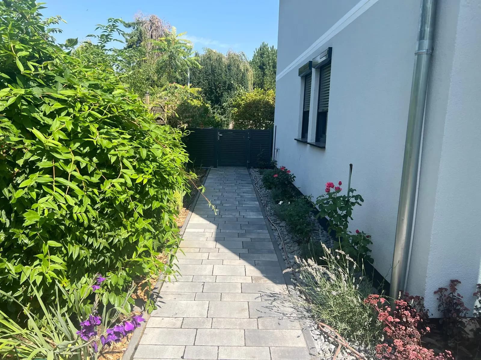 Schmaler gepflasterter Weg zwischen Hauswand und Bepflanzung, seitlich mit Kies eingefasst.